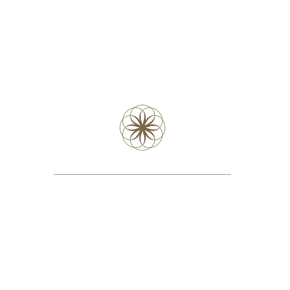 THE LUXURY NETWORK